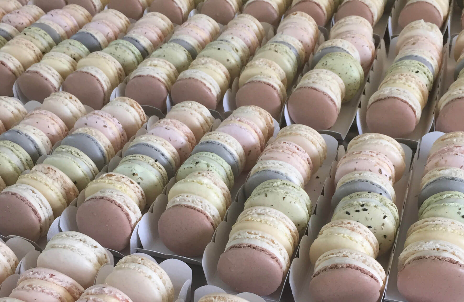 LES MACARONS AUX FROMAGES